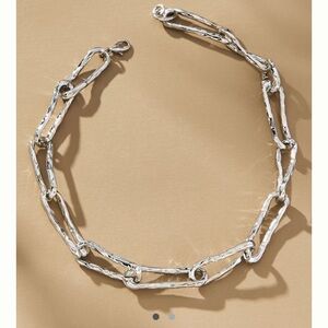 Anthropologie Medium Link Chain Necklace